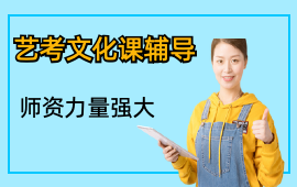 艺考文化课辅导班
