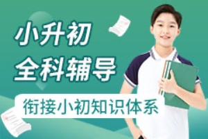 小升初全科辅导班
